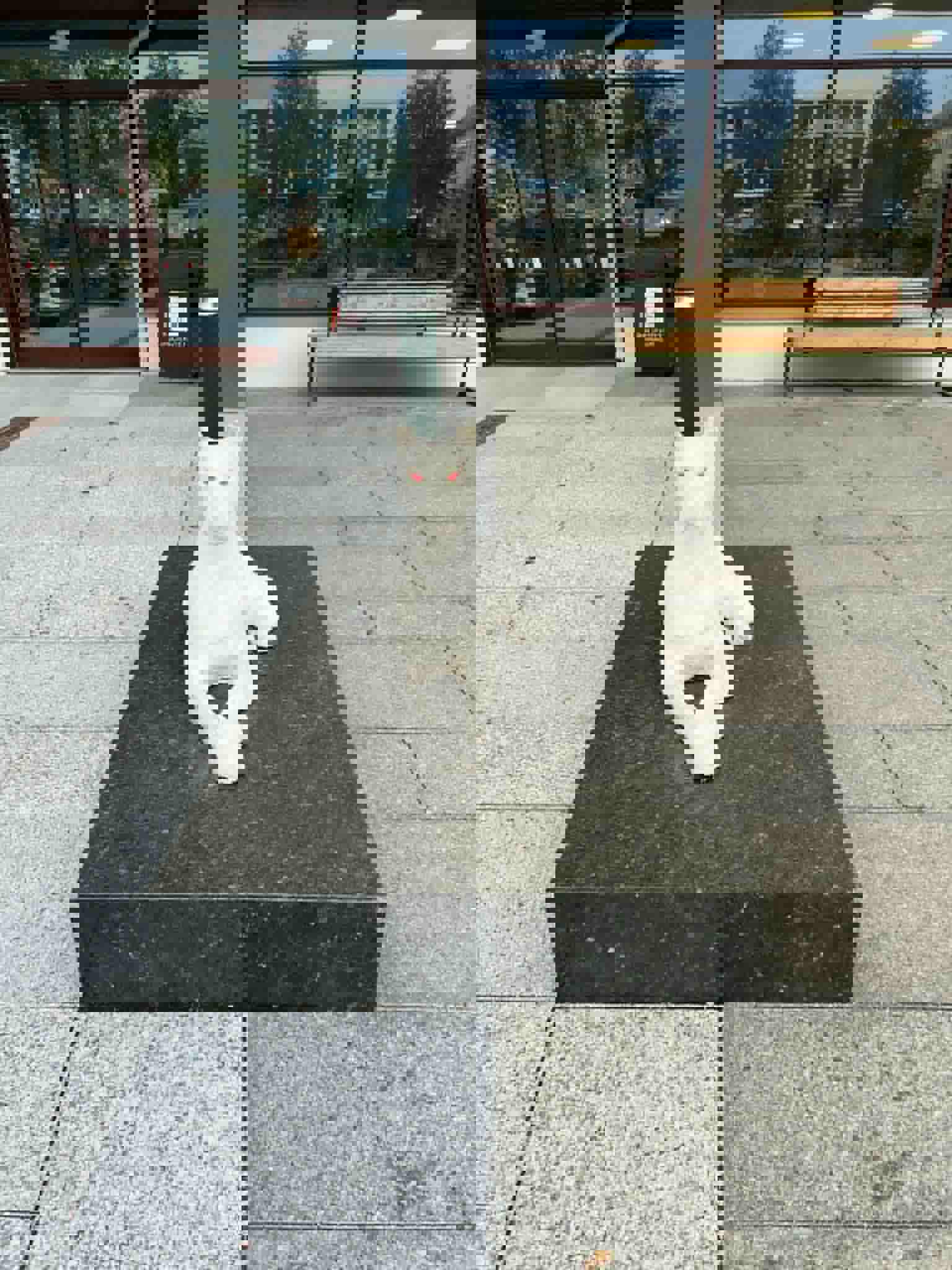 Medlemsmøte 17. september 2025